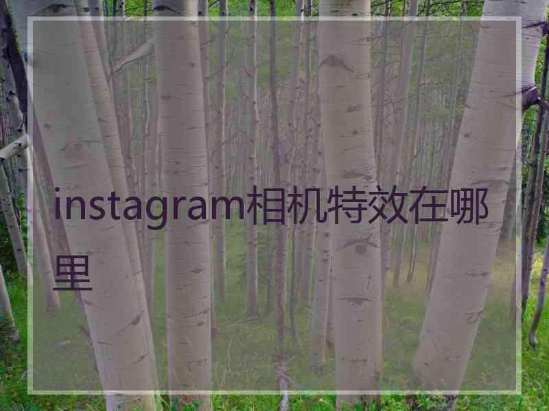 instagram相机特效在哪里