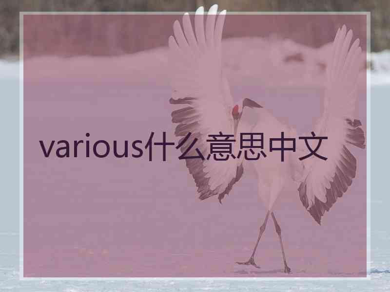 various什么意思中文