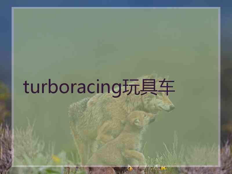 turboracing玩具车