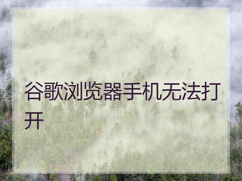 谷歌浏览器手机无法打开