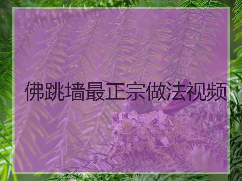 佛跳墙最正宗做法视频