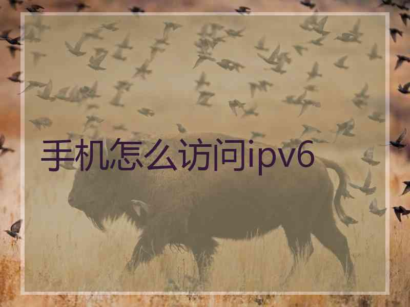 手机怎么访问ipv6