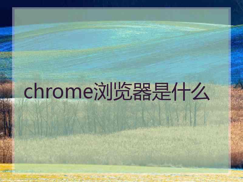 chrome浏览器是什么