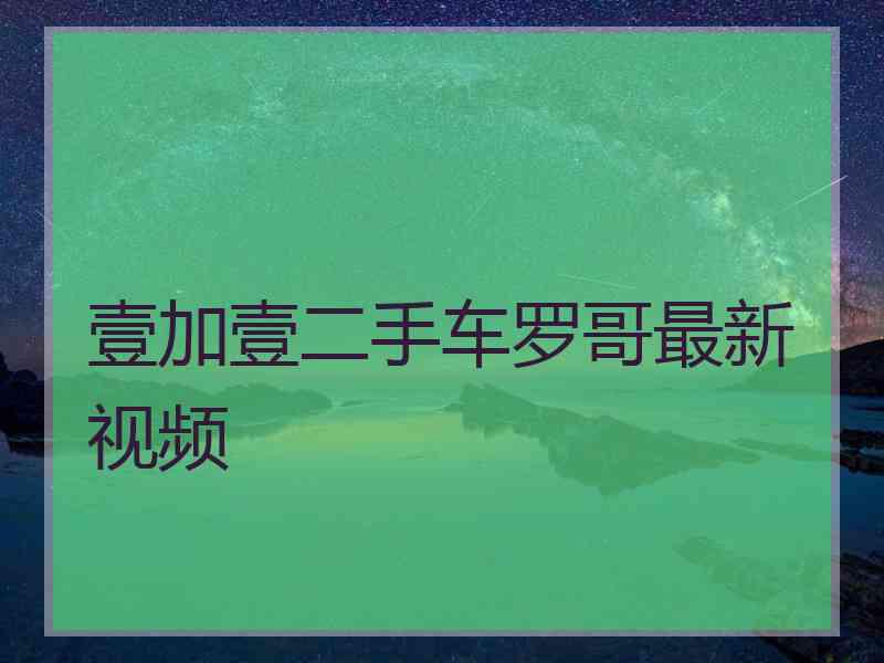 壹加壹二手车罗哥最新视频