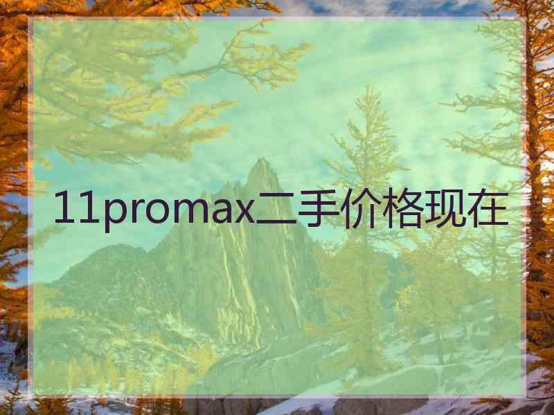 11promax二手价格现在