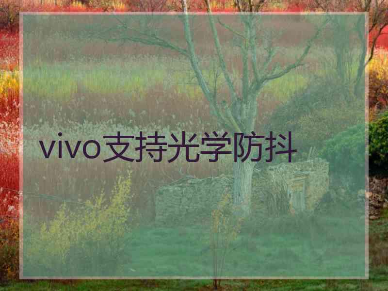 vivo支持光学防抖