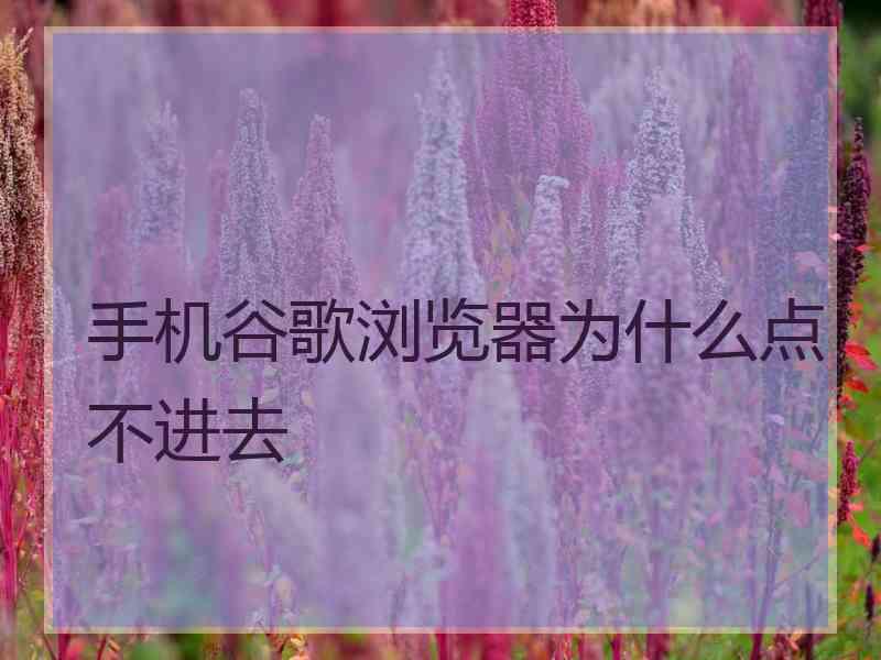 手机谷歌浏览器为什么点不进去