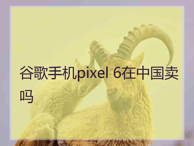 谷歌手机pixel 6在中国卖吗