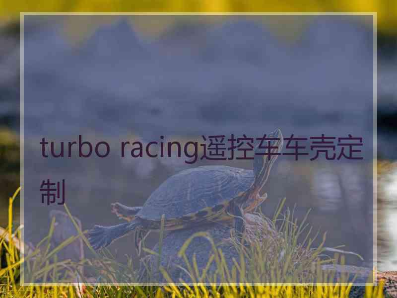 turbo racing遥控车车壳定制