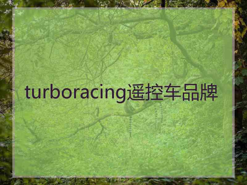 turboracing遥控车品牌