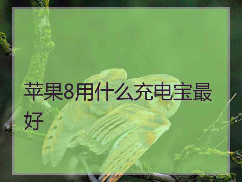 苹果8用什么充电宝最好