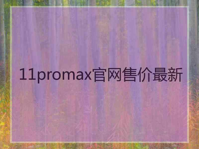 11promax官网售价最新