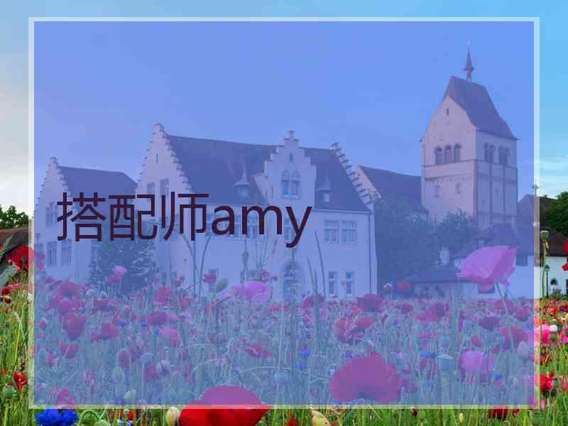 搭配师amy