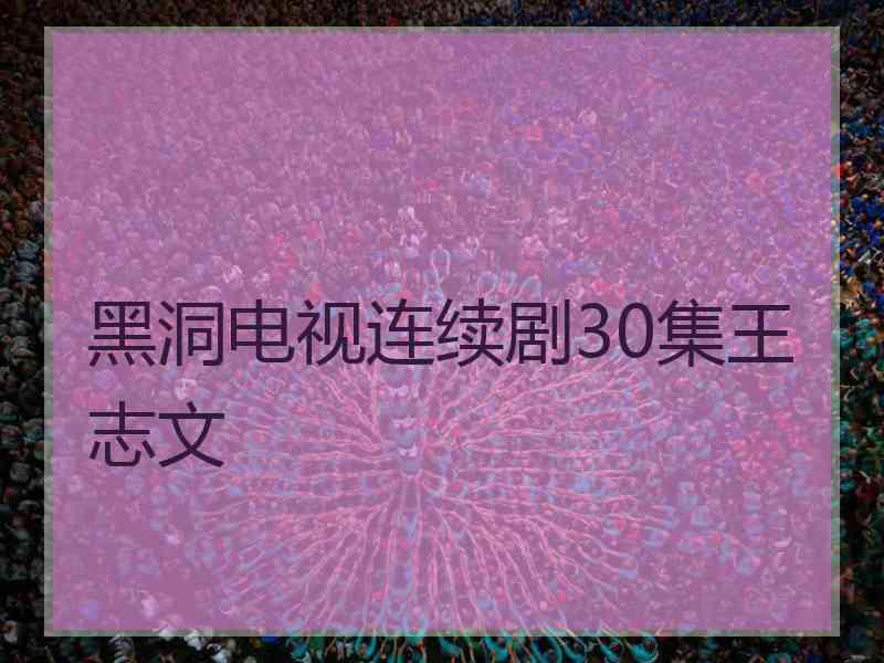 黑洞电视连续剧30集王志文