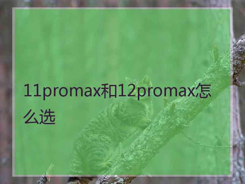 11promax和12promax怎么选