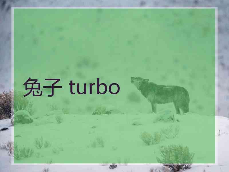 兔子 turbo