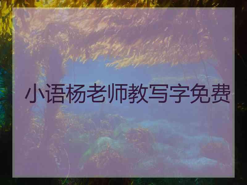 小语杨老师教写字免费