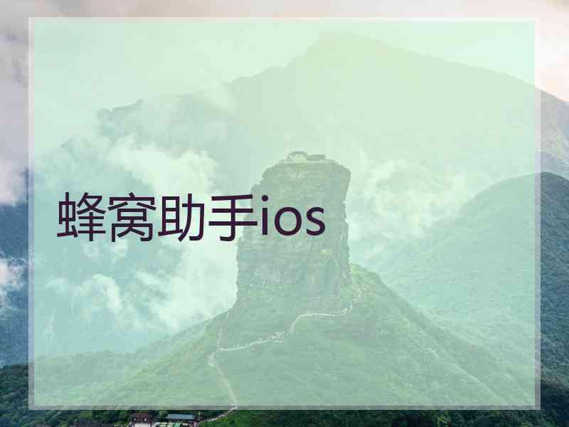 蜂窝助手ios