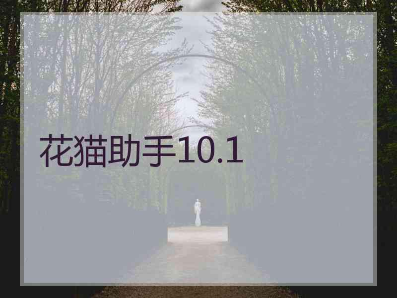 花猫助手10.1