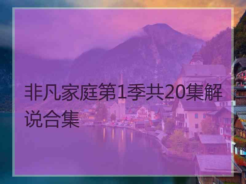 非凡家庭第1季共20集解说合集