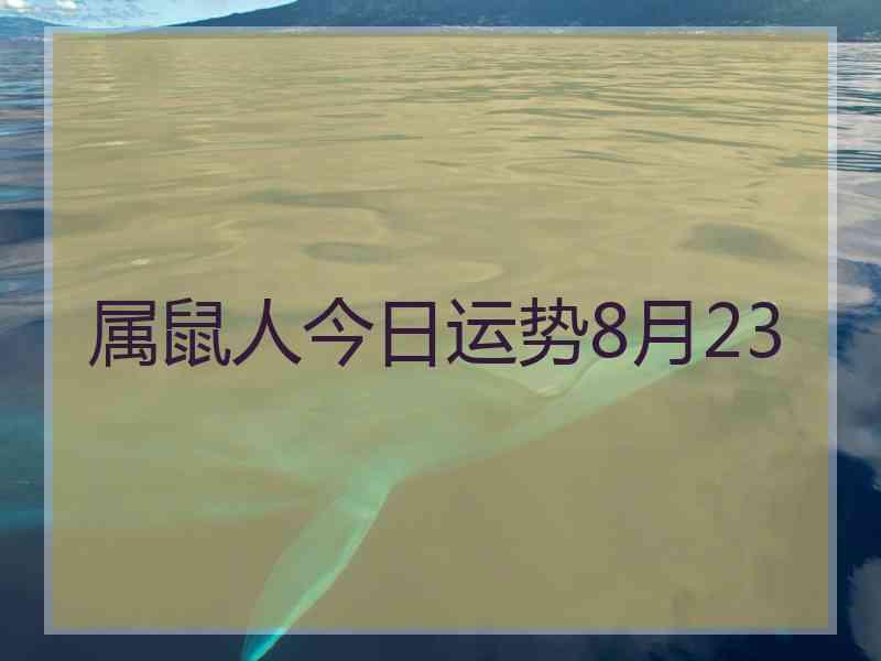 属鼠人今日运势8月23