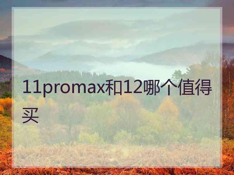 11promax和12哪个值得买