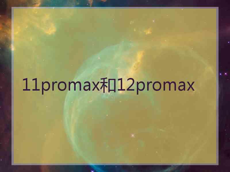 11promax和12promax