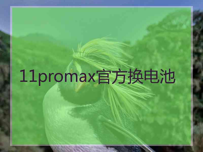 11promax官方换电池