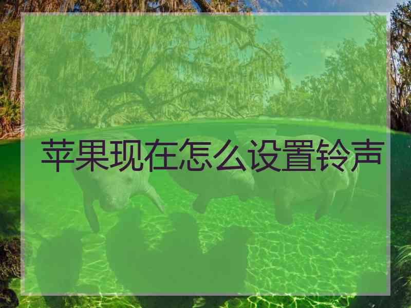 苹果现在怎么设置铃声