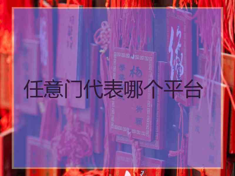 任意门代表哪个平台