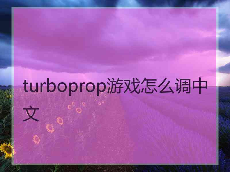 turboprop游戏怎么调中文