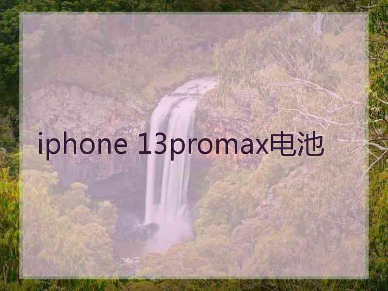 iphone 13promax电池