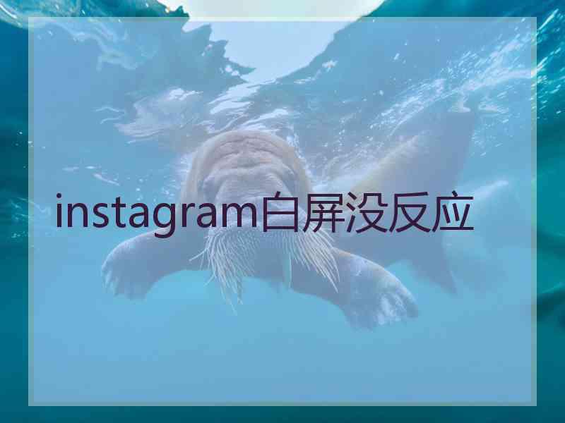 instagram白屏没反应