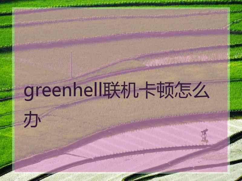 greenhell联机卡顿怎么办