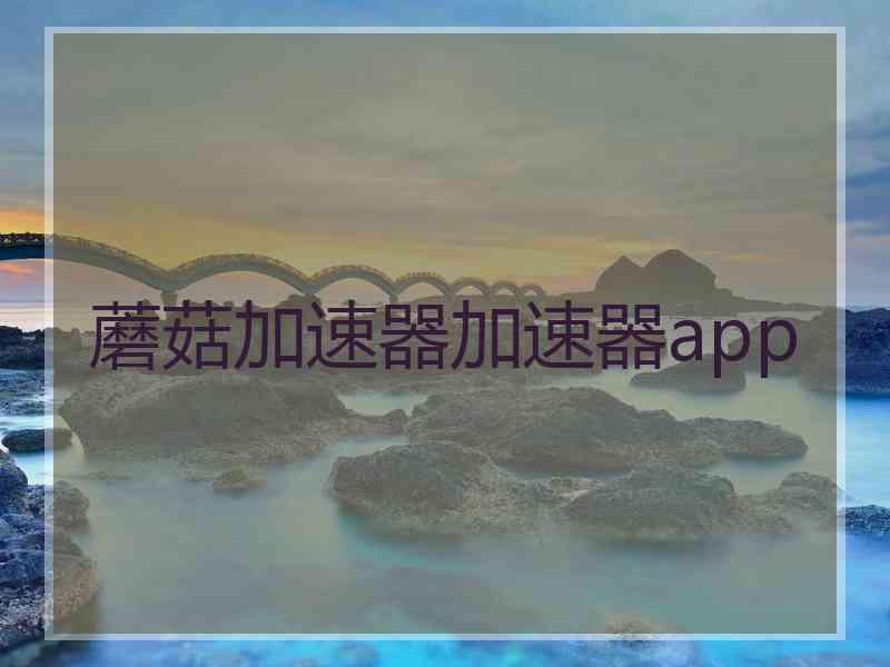 蘑菇加速器加速器app