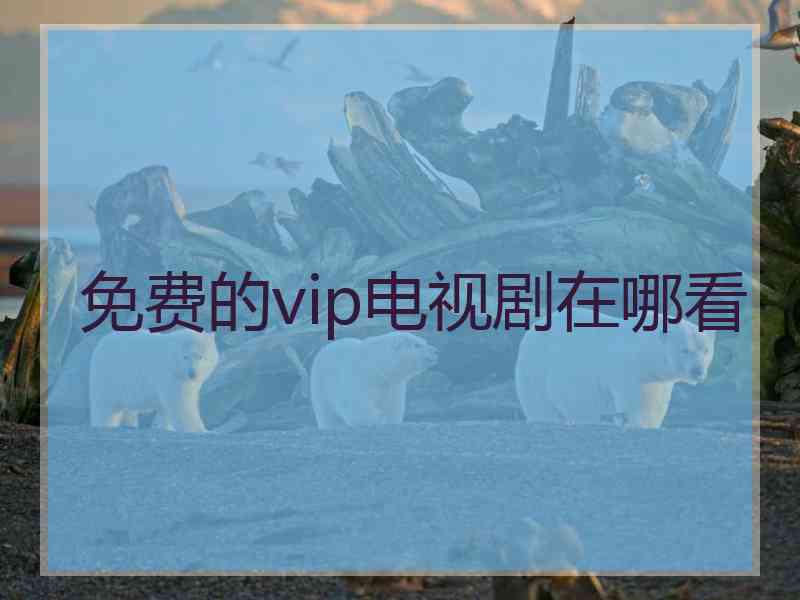 免费的vip电视剧在哪看