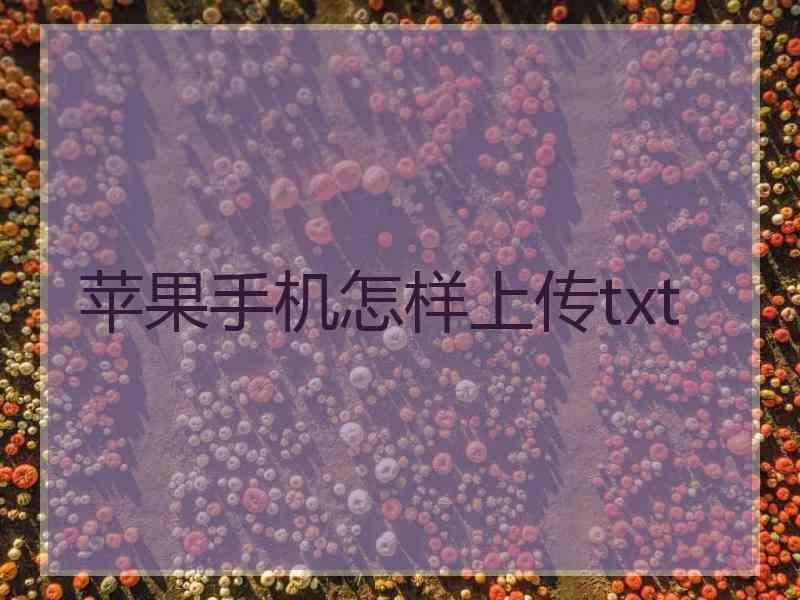 苹果手机怎样上传txt