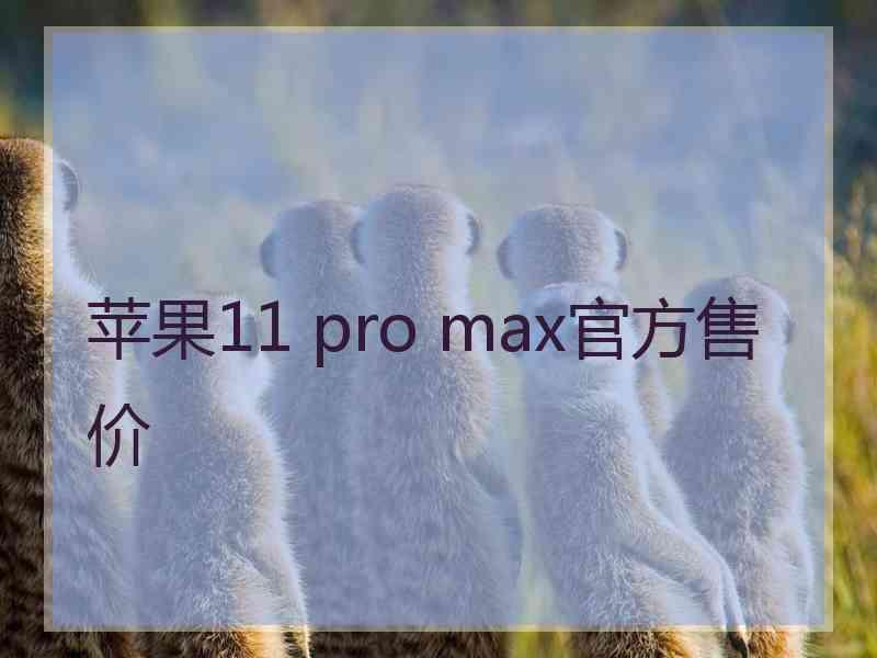 苹果11 pro max官方售价