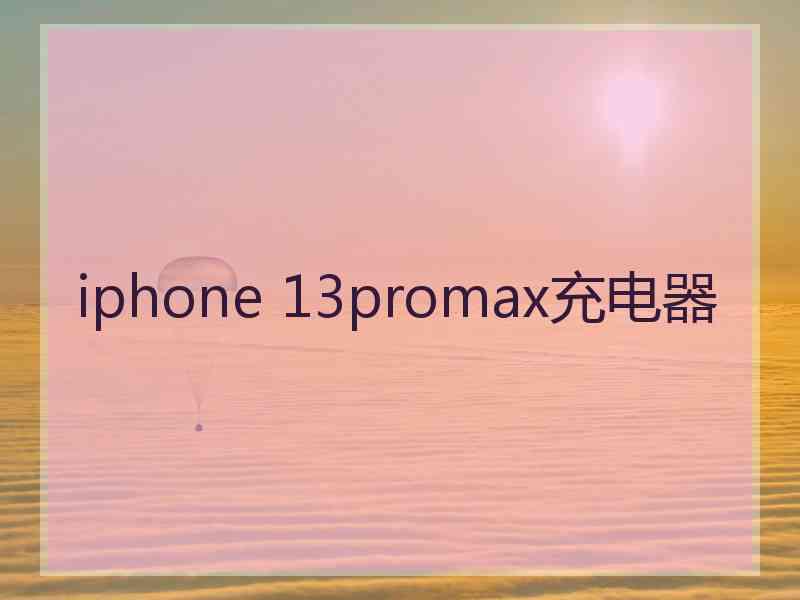 iphone 13promax充电器