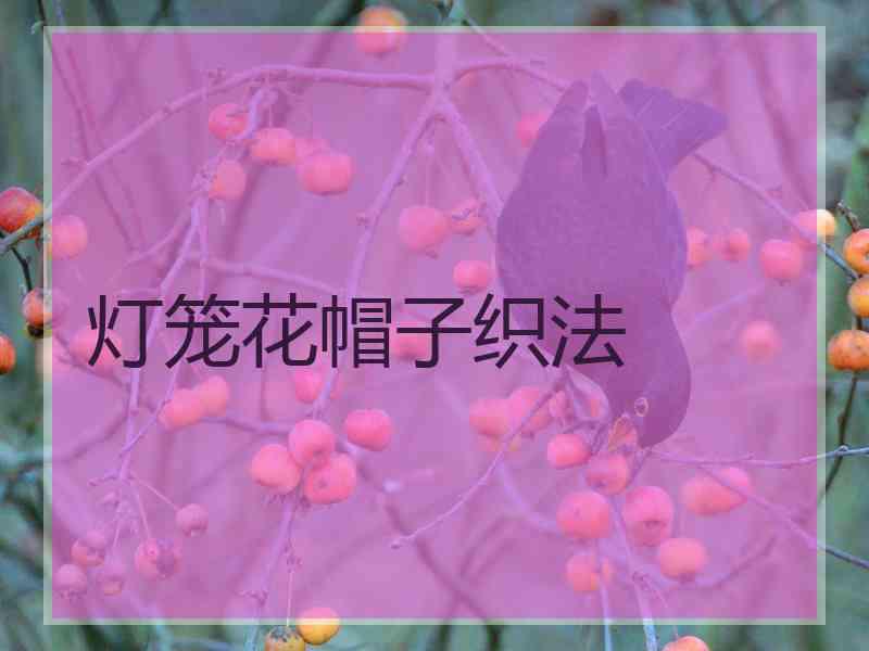 灯笼花帽子织法