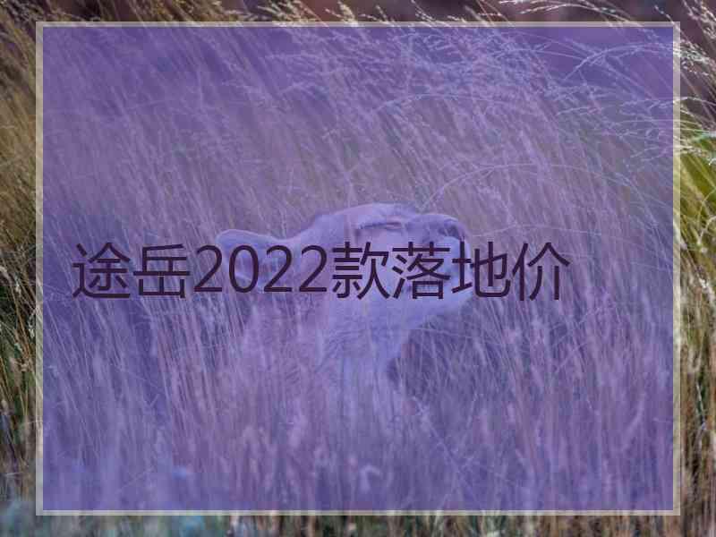 途岳2022款落地价