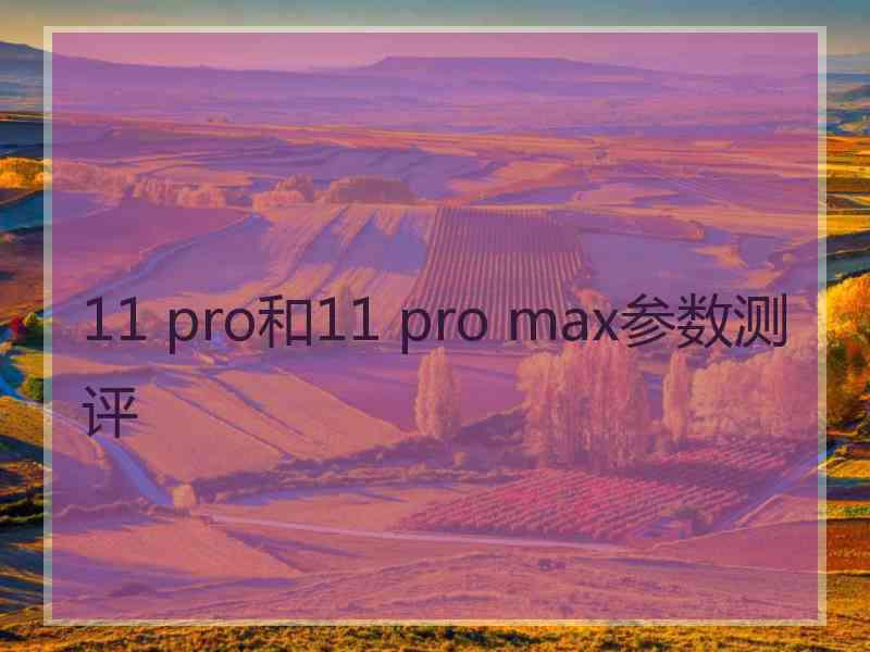 11 pro和11 pro max参数测评