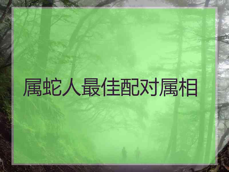 属蛇人最佳配对属相