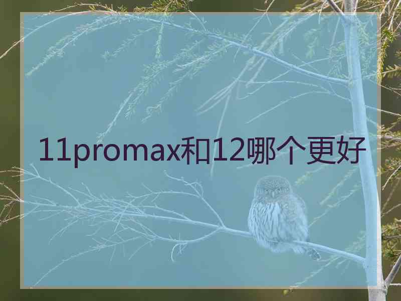 11promax和12哪个更好