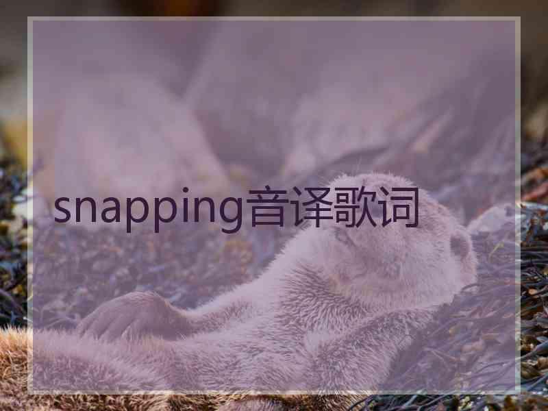 snapping音译歌词