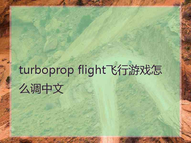 turboprop flight飞行游戏怎么调中文