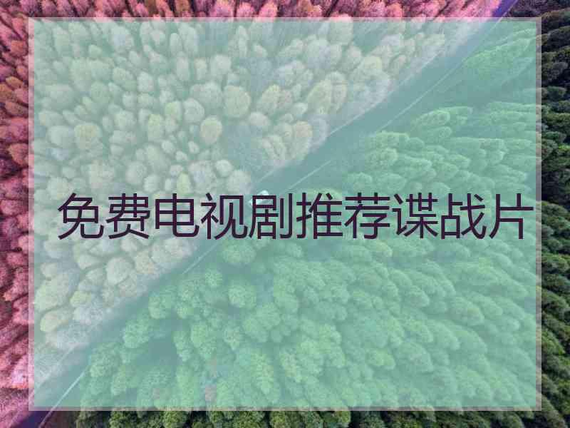 免费电视剧推荐谍战片