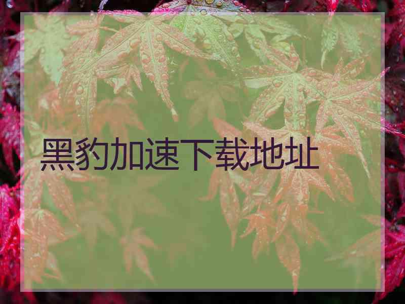 黑豹加速下载地址