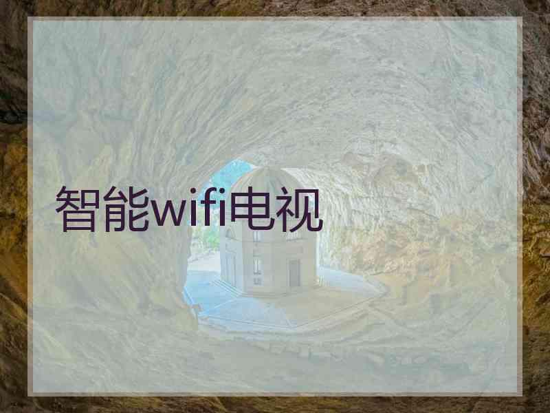 智能wifi电视