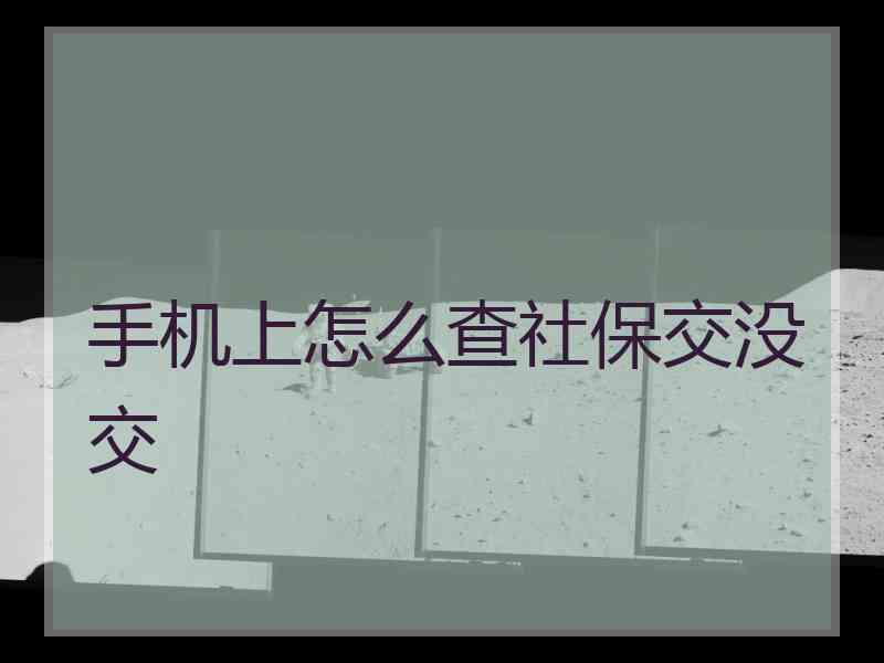 手机上怎么查社保交没交